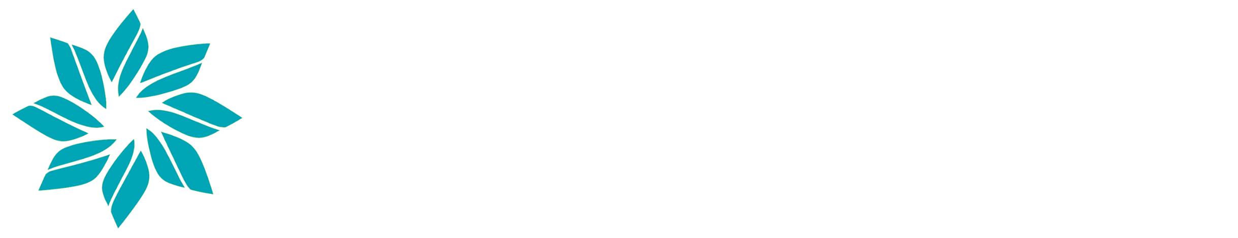 Agent Scan